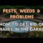 How To Get Rid Of A Snake In The Garage