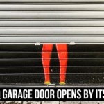 Myq Garage Door Opened By Itself