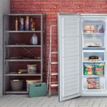 Refrigerator In Garage In Winter